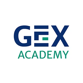 #44126137 GEX Academy 315 33px@20260119
